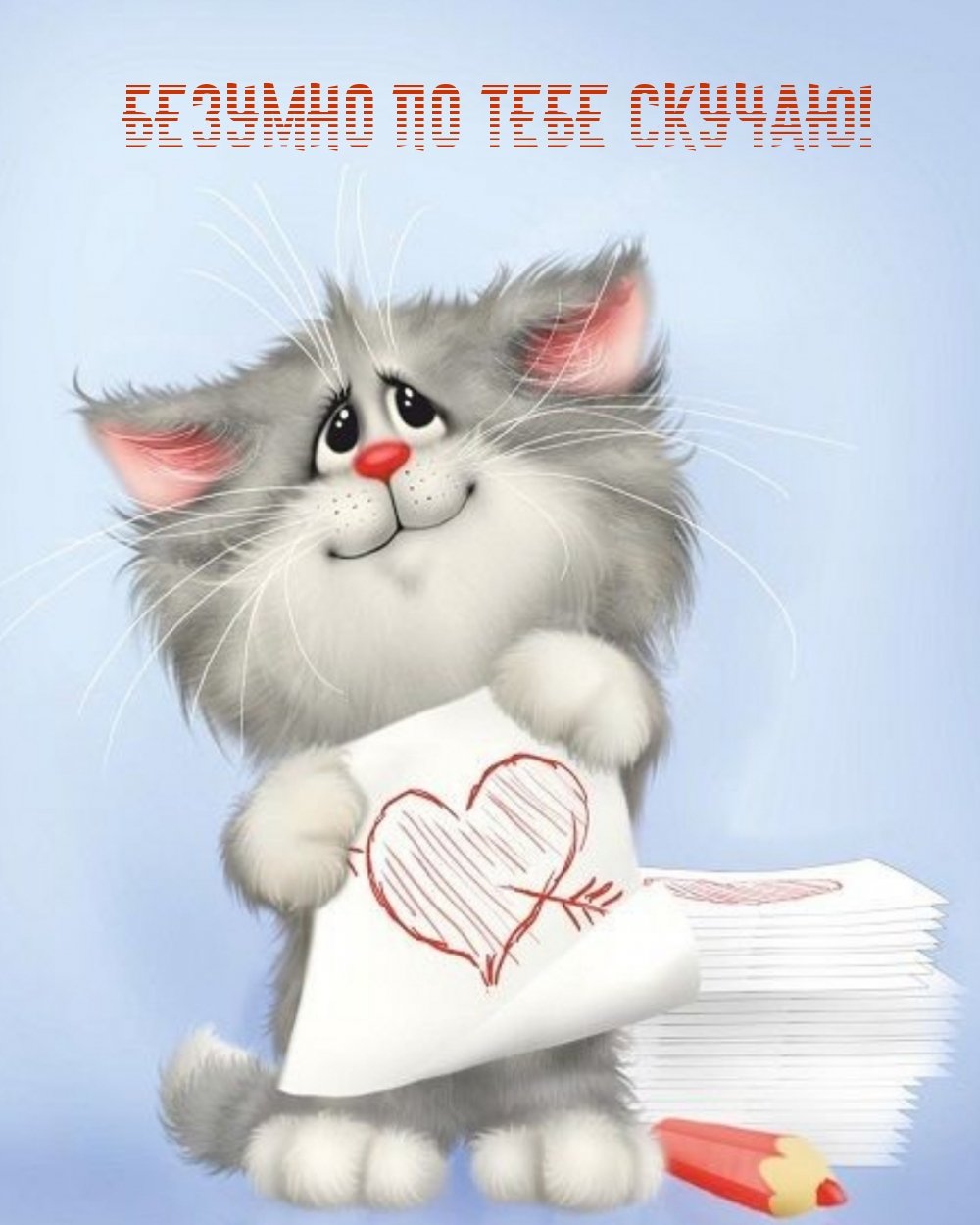 Кошки Алексея Долотова