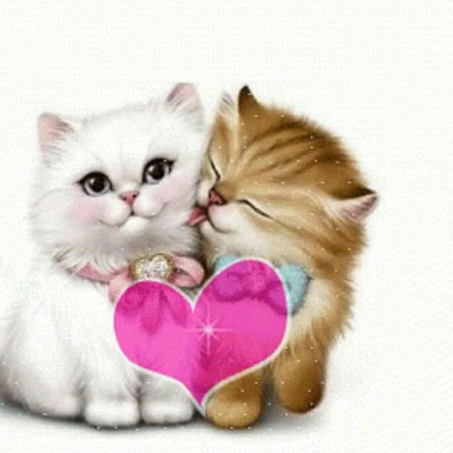 Открытки про любовь с котиками