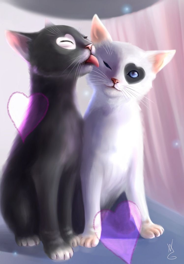 Люблю тебя котенок