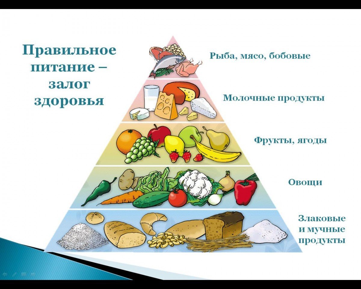 Здоровое питание залог здоровья