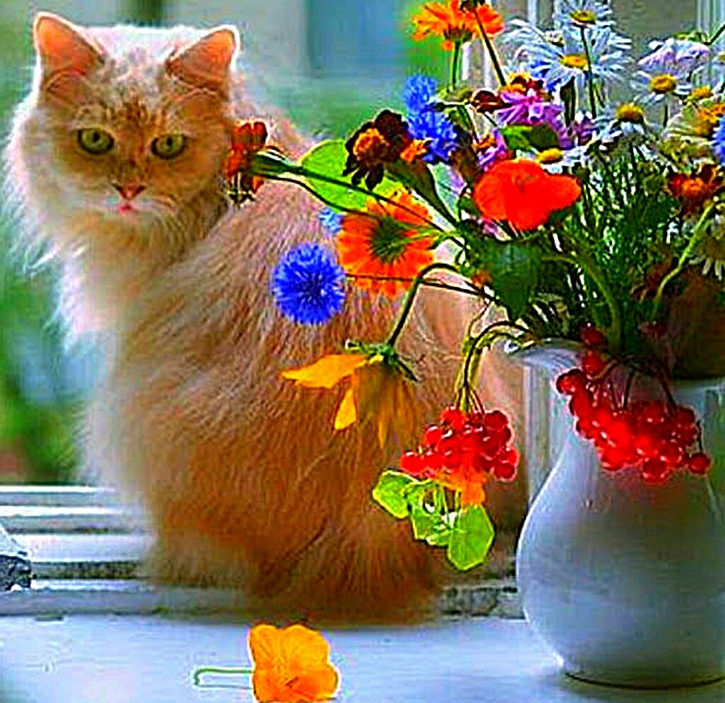 Картинки с добрым утром весенние с котами. Рыжий кот и цветы. Доброе утро котик цветы. Кошка с цветами.