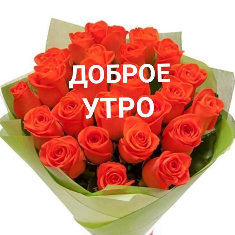 Доброе утро Леночка