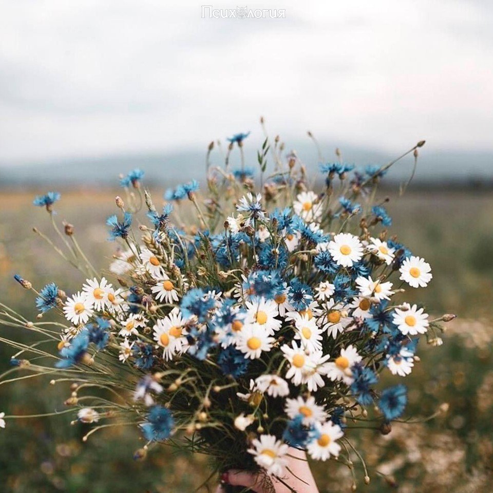 С днём рождения сына маме