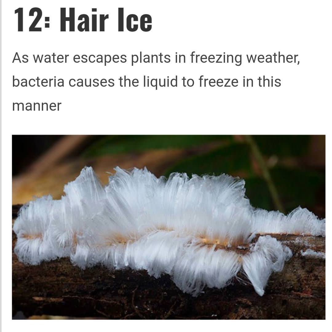 Трава замерзла цитаты