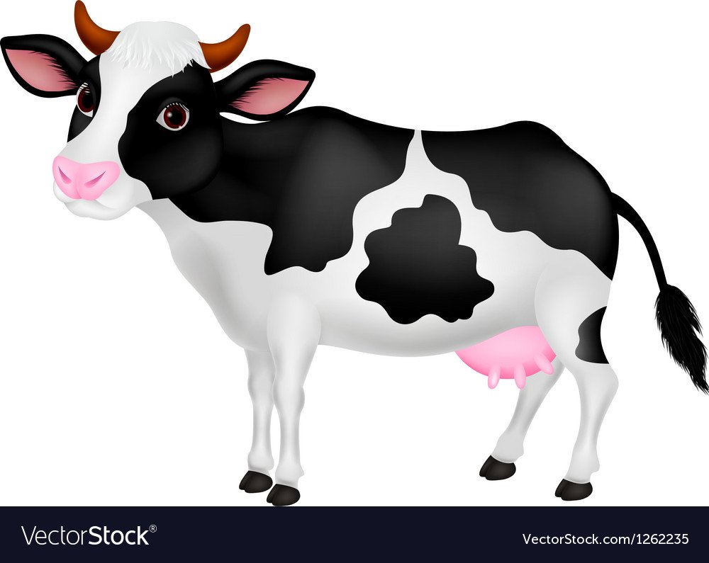 Корова мультяшная на белом фоне