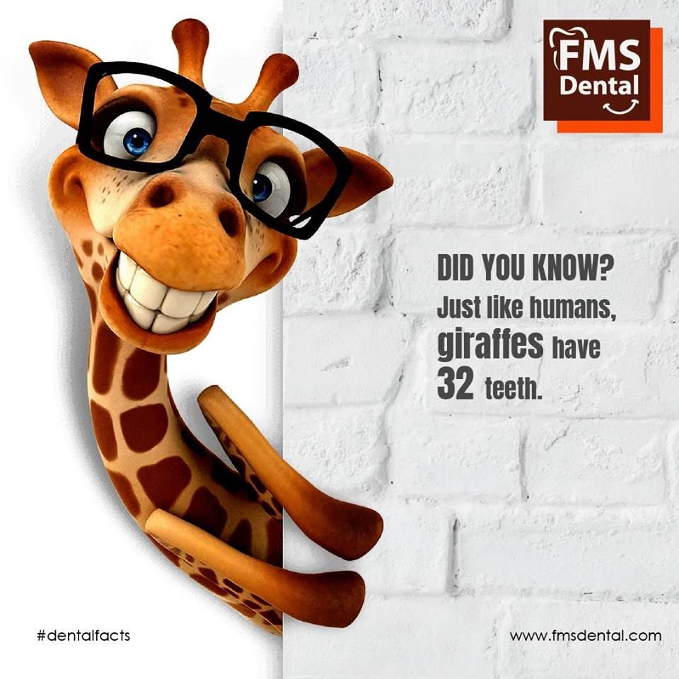 Хорошего дня и настроения прикольные с надписями