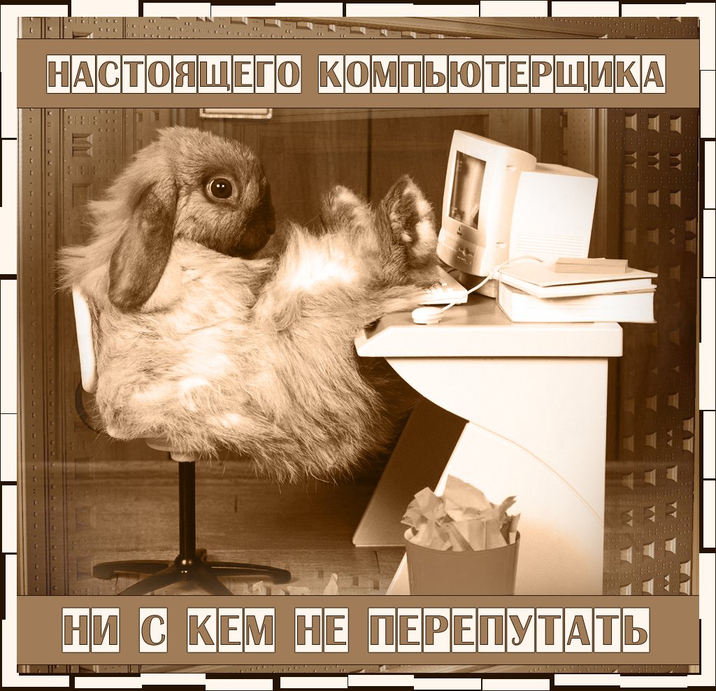 День компьютерщика