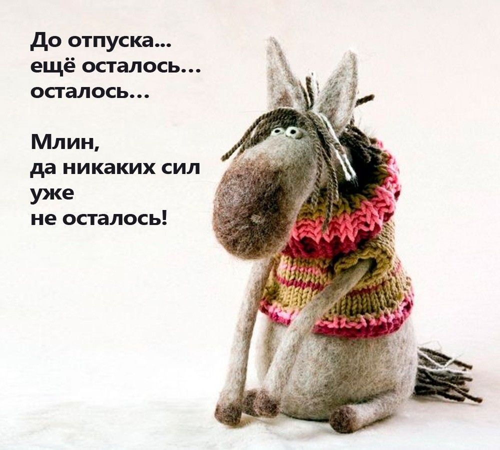 Осталось два дня до отпуска