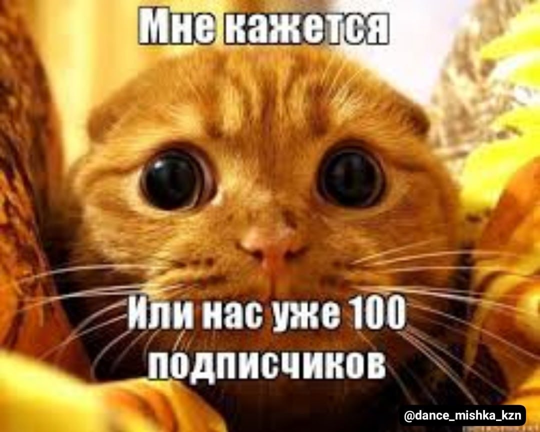 Спасибо за внимание картинка кот