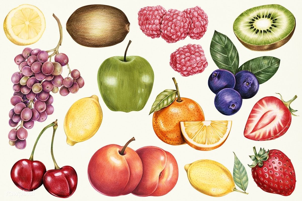 Разные фрукты и овощи картинки