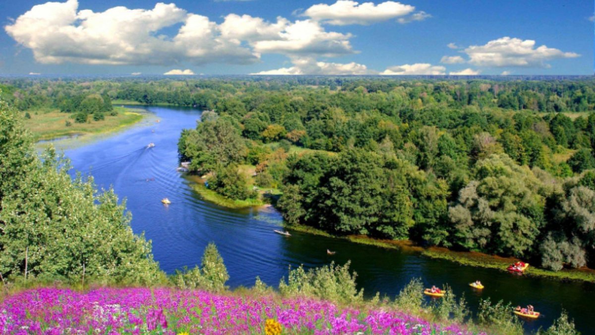 Природа Воронежской области река Дон