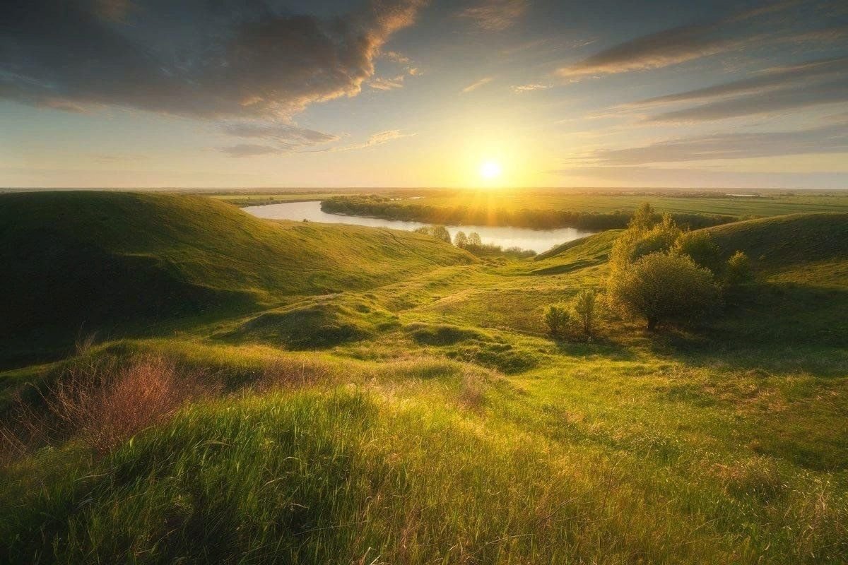 Перевицкий Торжок Луховицкий