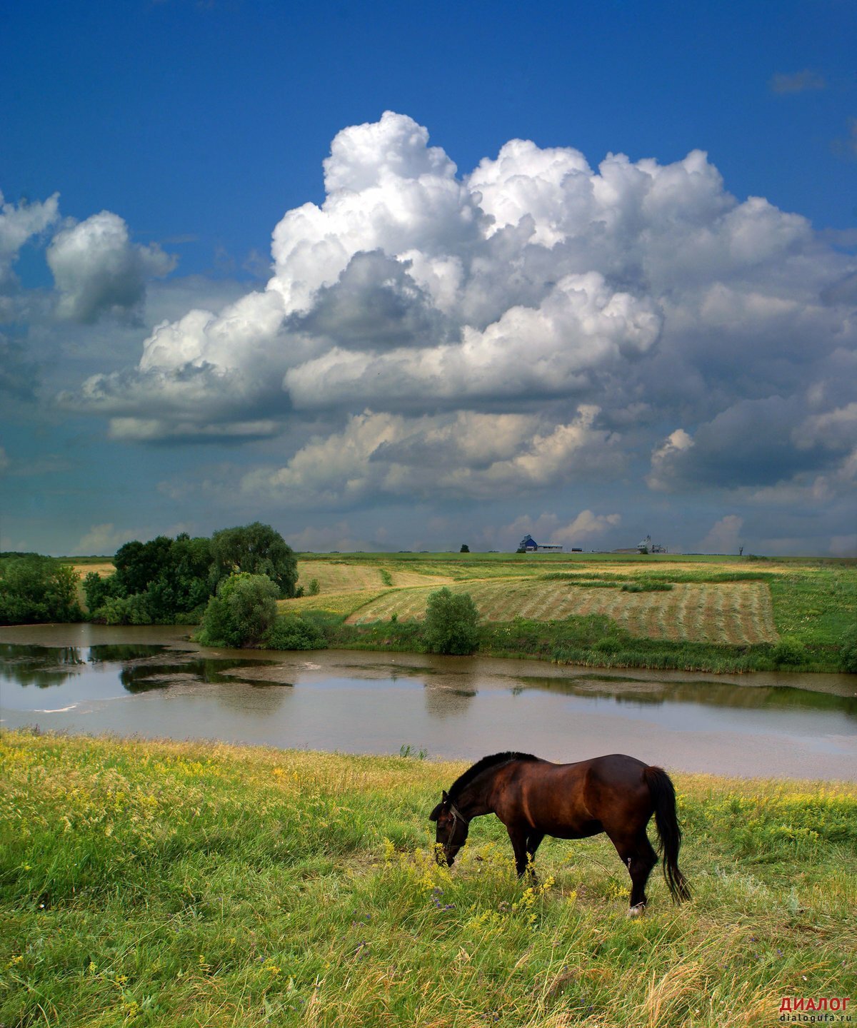 Родные просторы Татарстан