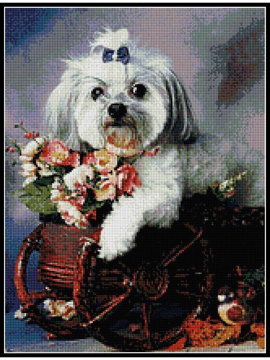 Болонки с цветами