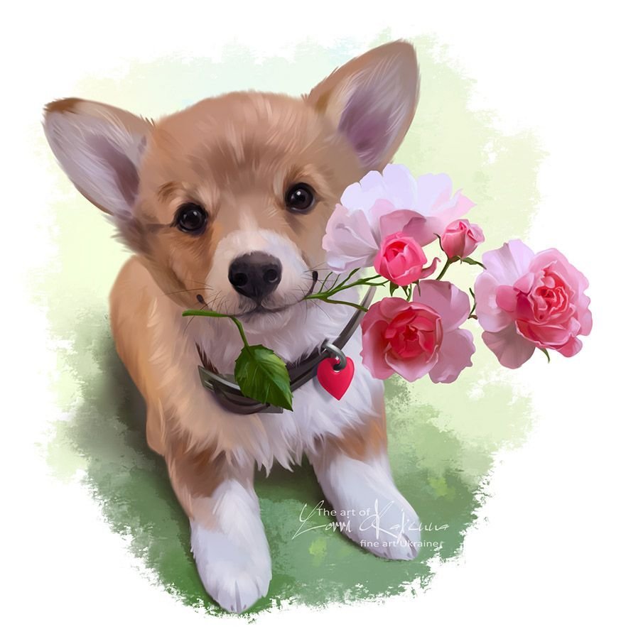 Хорошего дня картинки с собаками