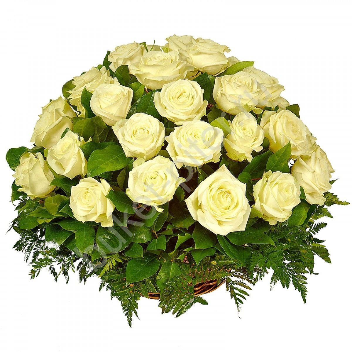 Букет белых роз