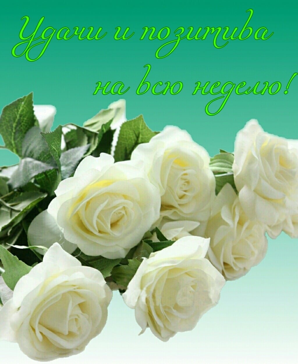 Открытки с днем рождения белые розы