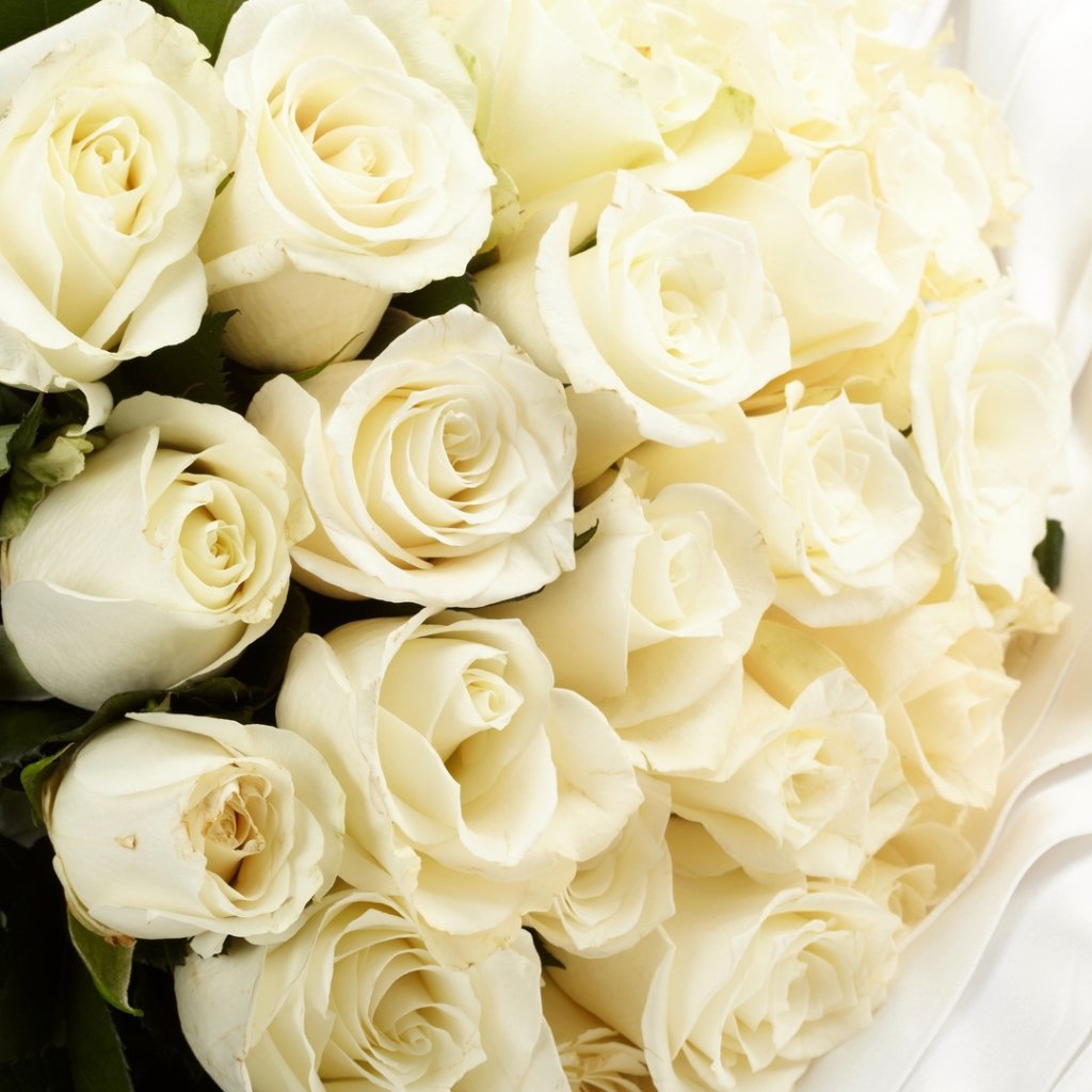 Роза Вайт Грин