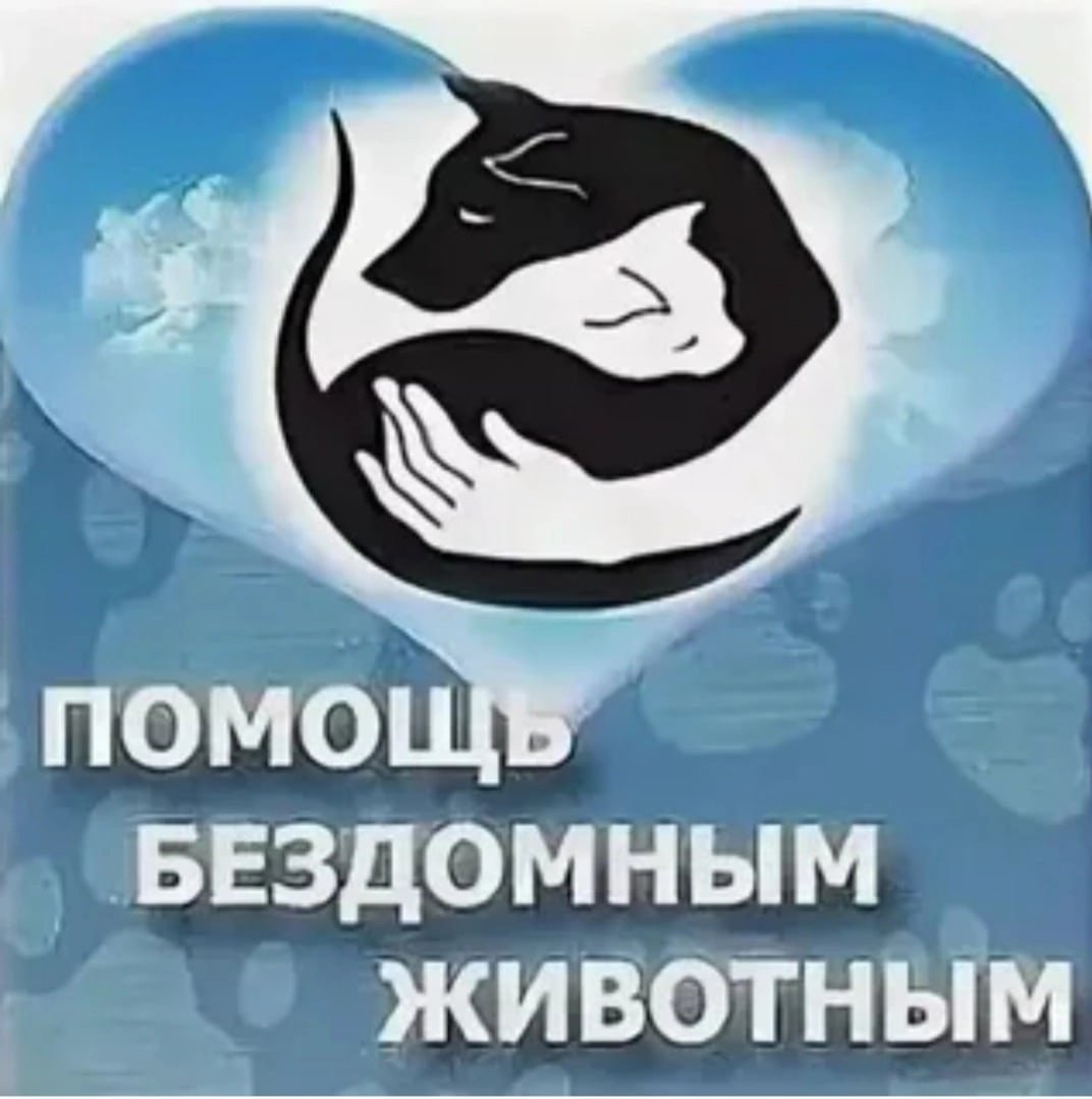 Эмблема помощь бездомным