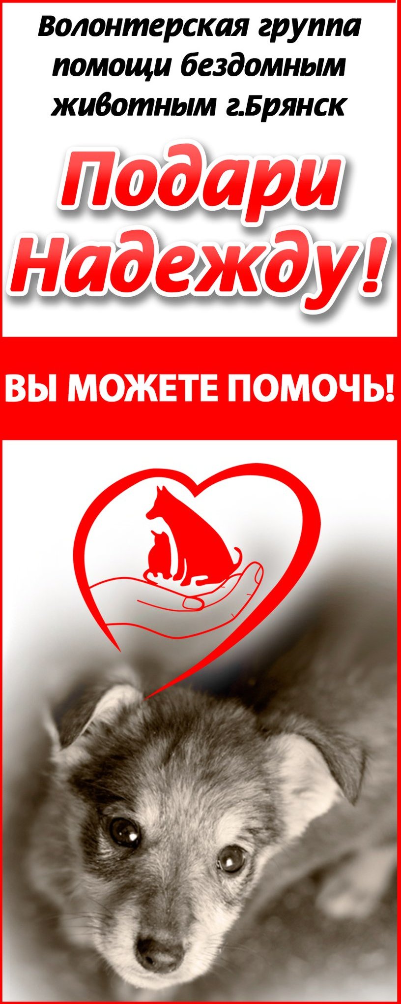 Поможем бездомным животным