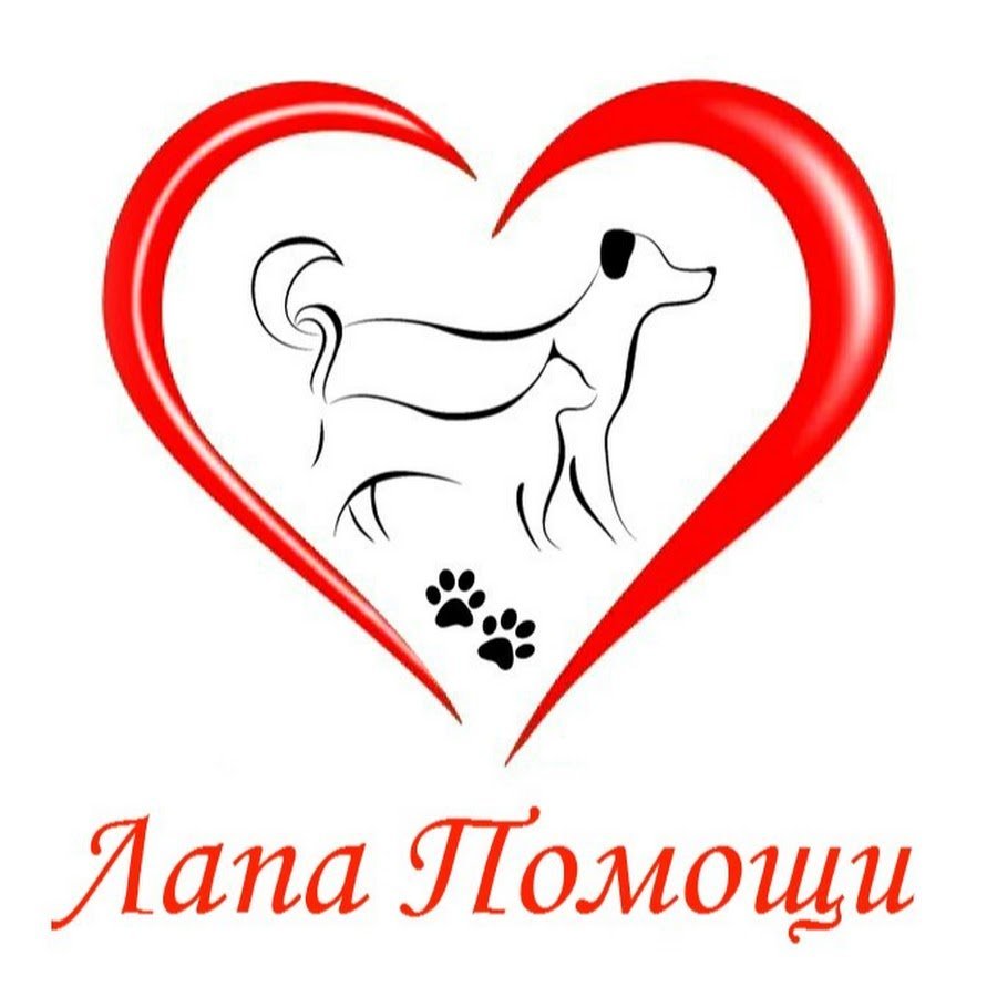 Помощь животным