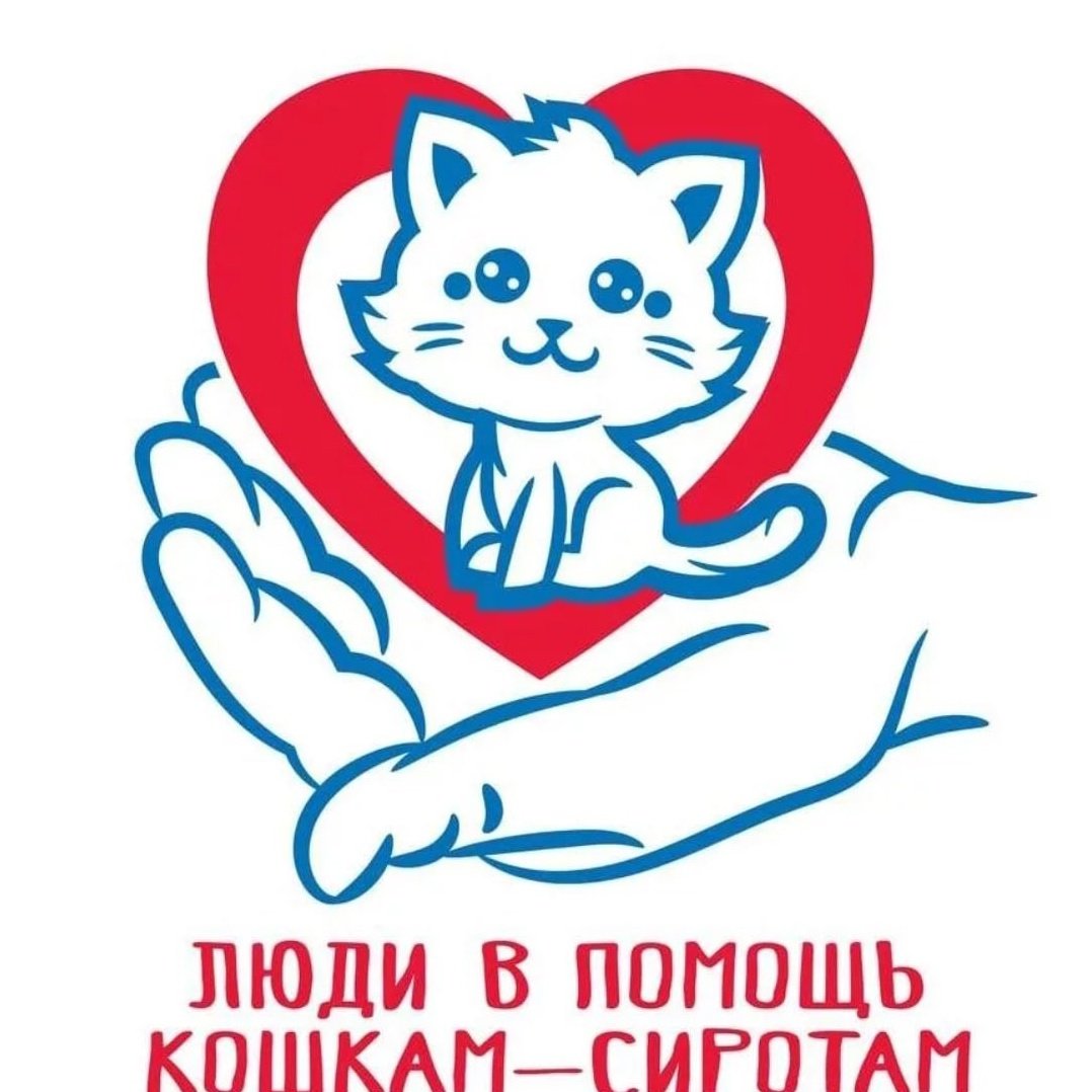 Помогите кошкам приюта