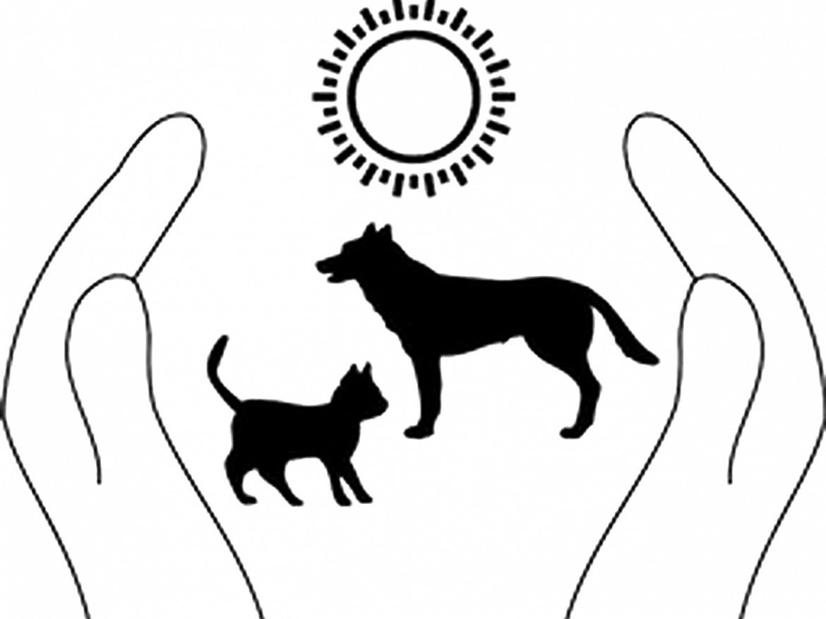 Защита животных