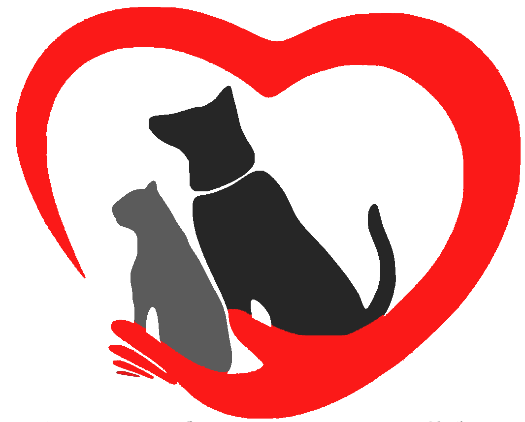 Защита бездомных животных