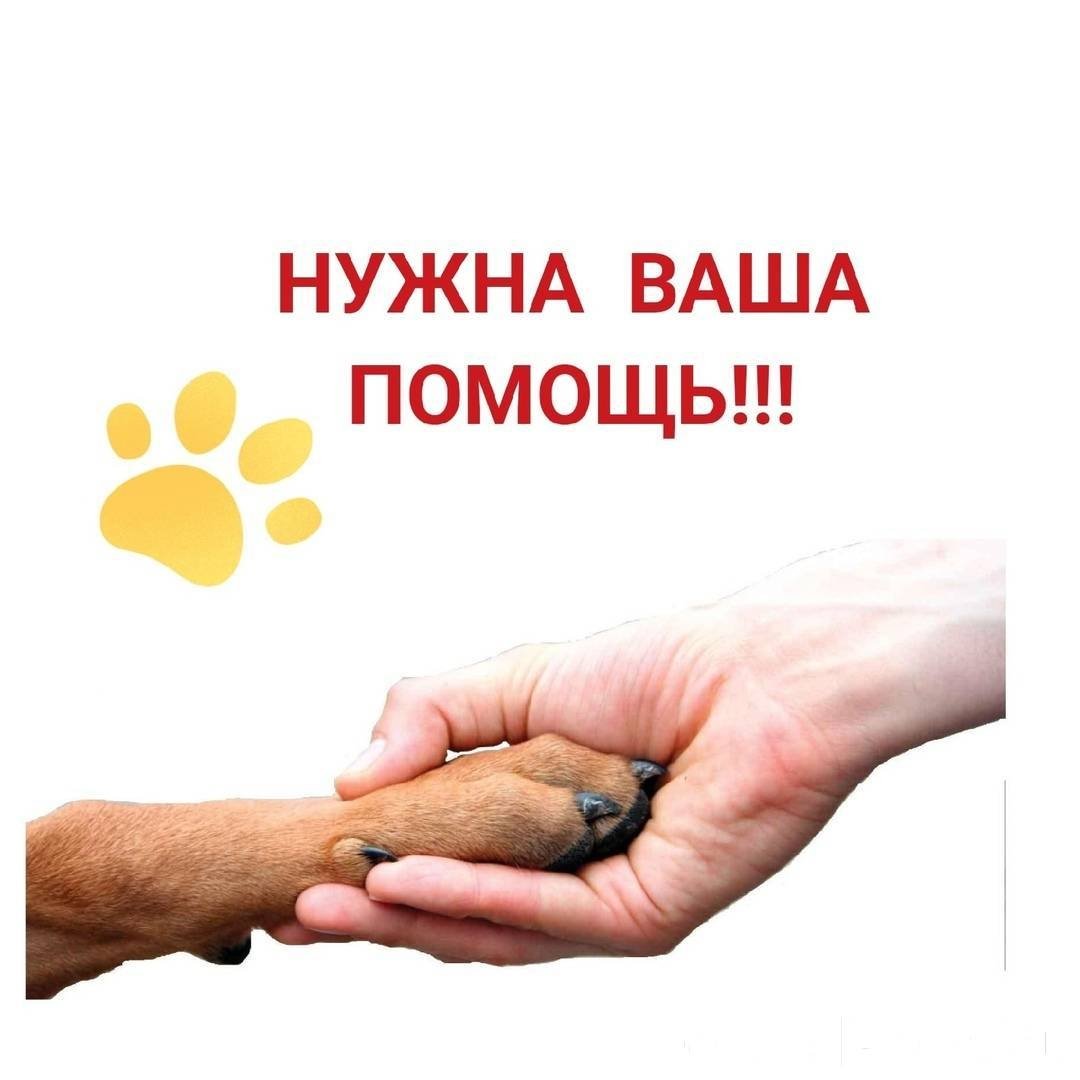 Очень нужна ваша помощь