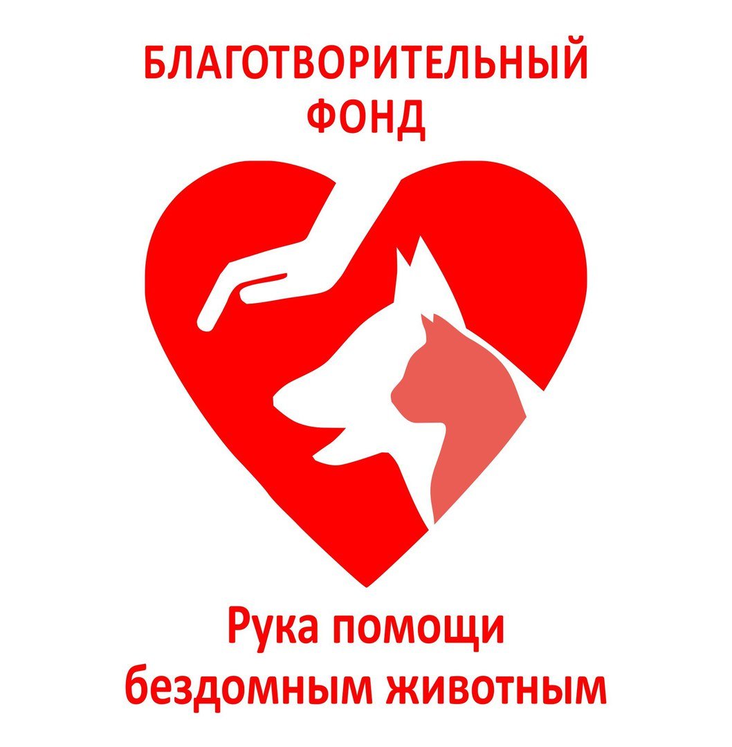 Благотворительность бездомным животным