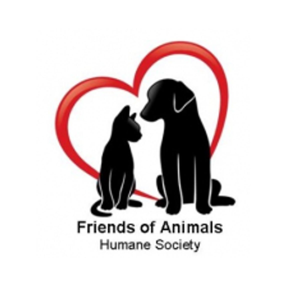 Логотип кошка и собака