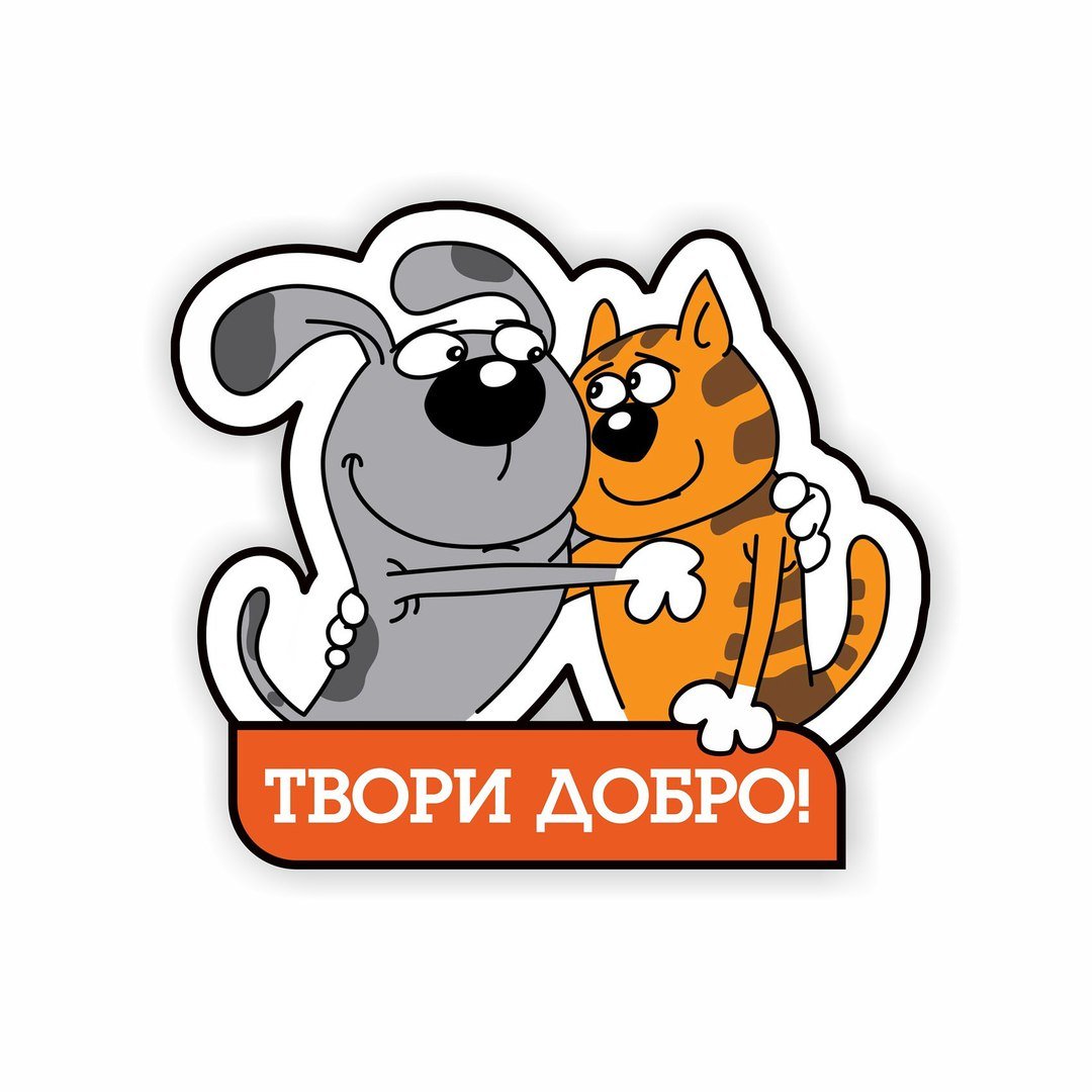 Твори и делай добро для бездомных животных