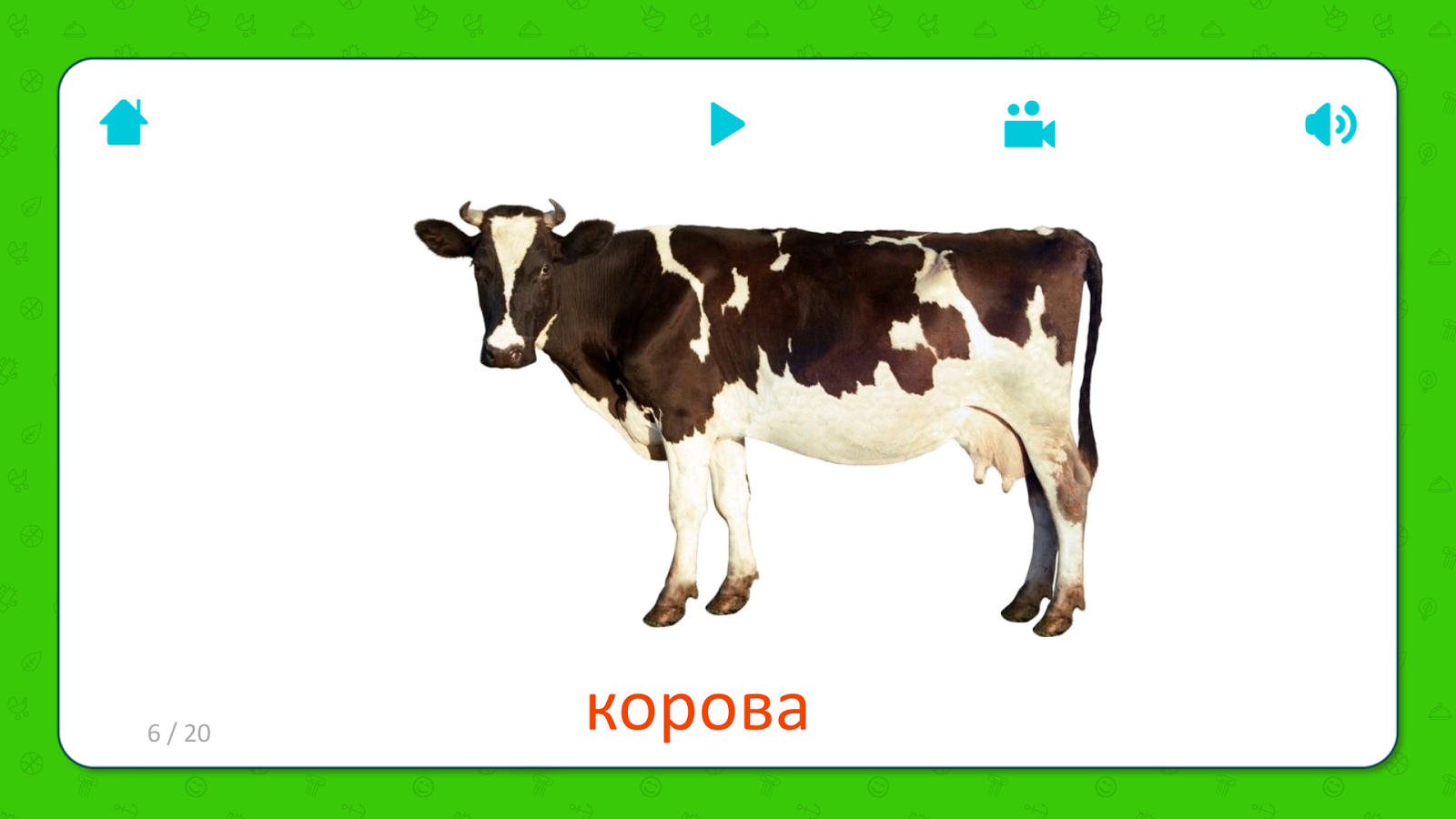 Корова урок 5 класс. Карточки с изображением коровы. Карточки для детей корова. Домашние животные корова. Карточки животные для детей корова.