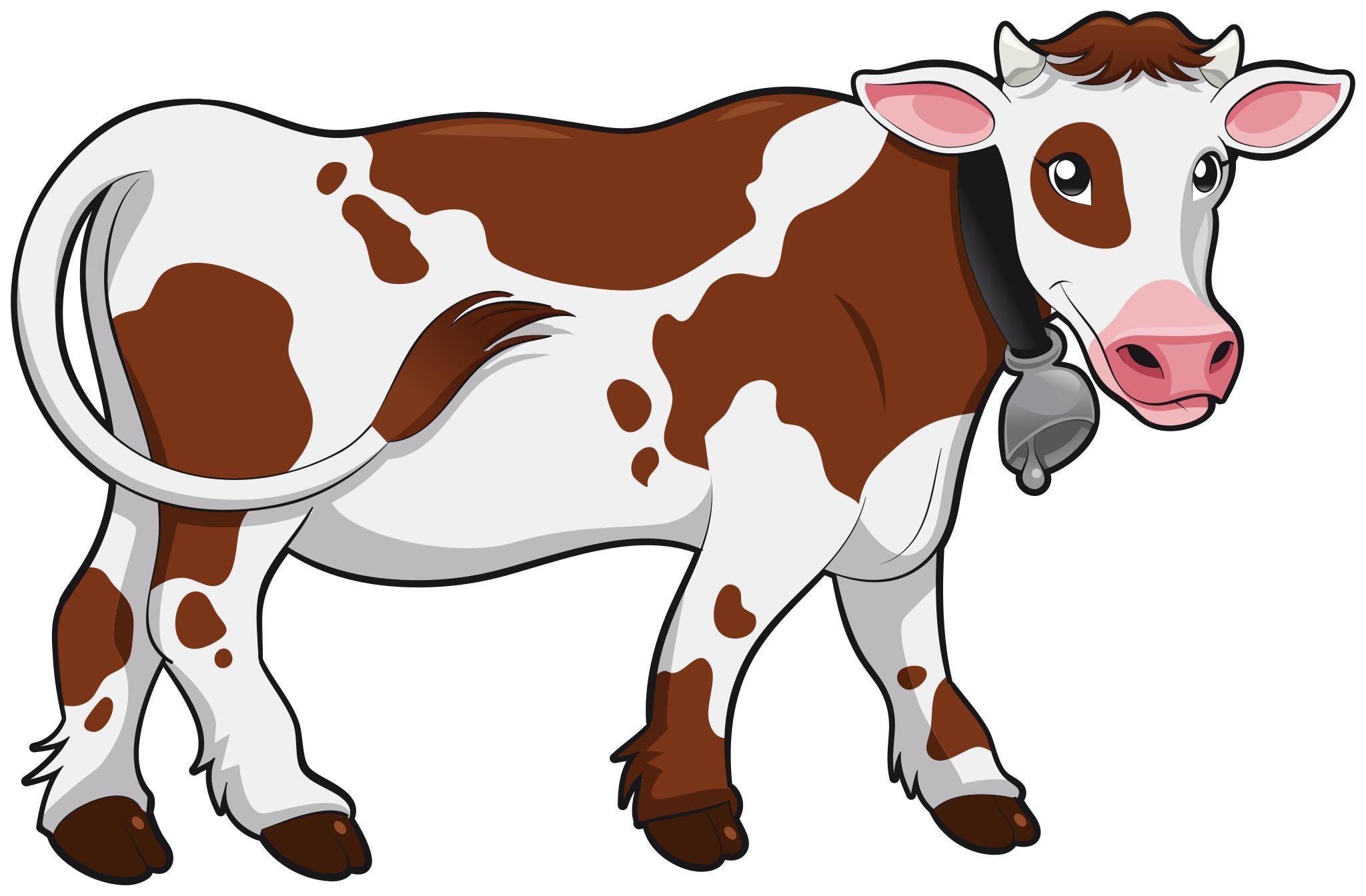 Коровы для детей 3 лет. Корова для детей. Корова мультяшная. Корова картинка для детей. Корова рисунок.