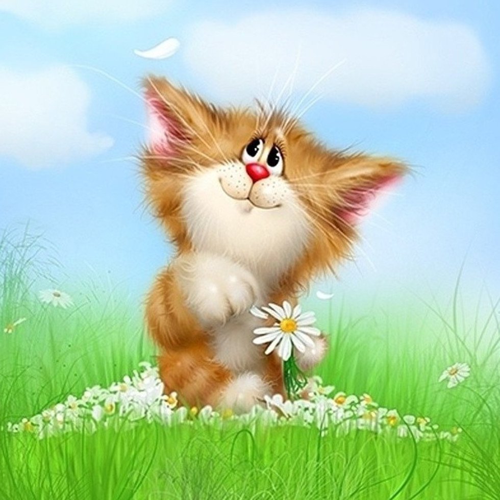 Веселые открытки