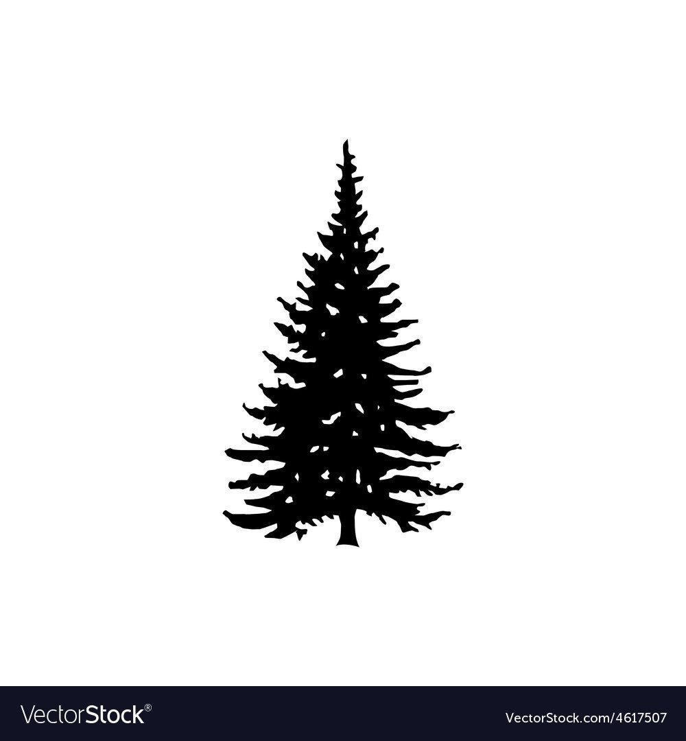 Хвоя силуэт