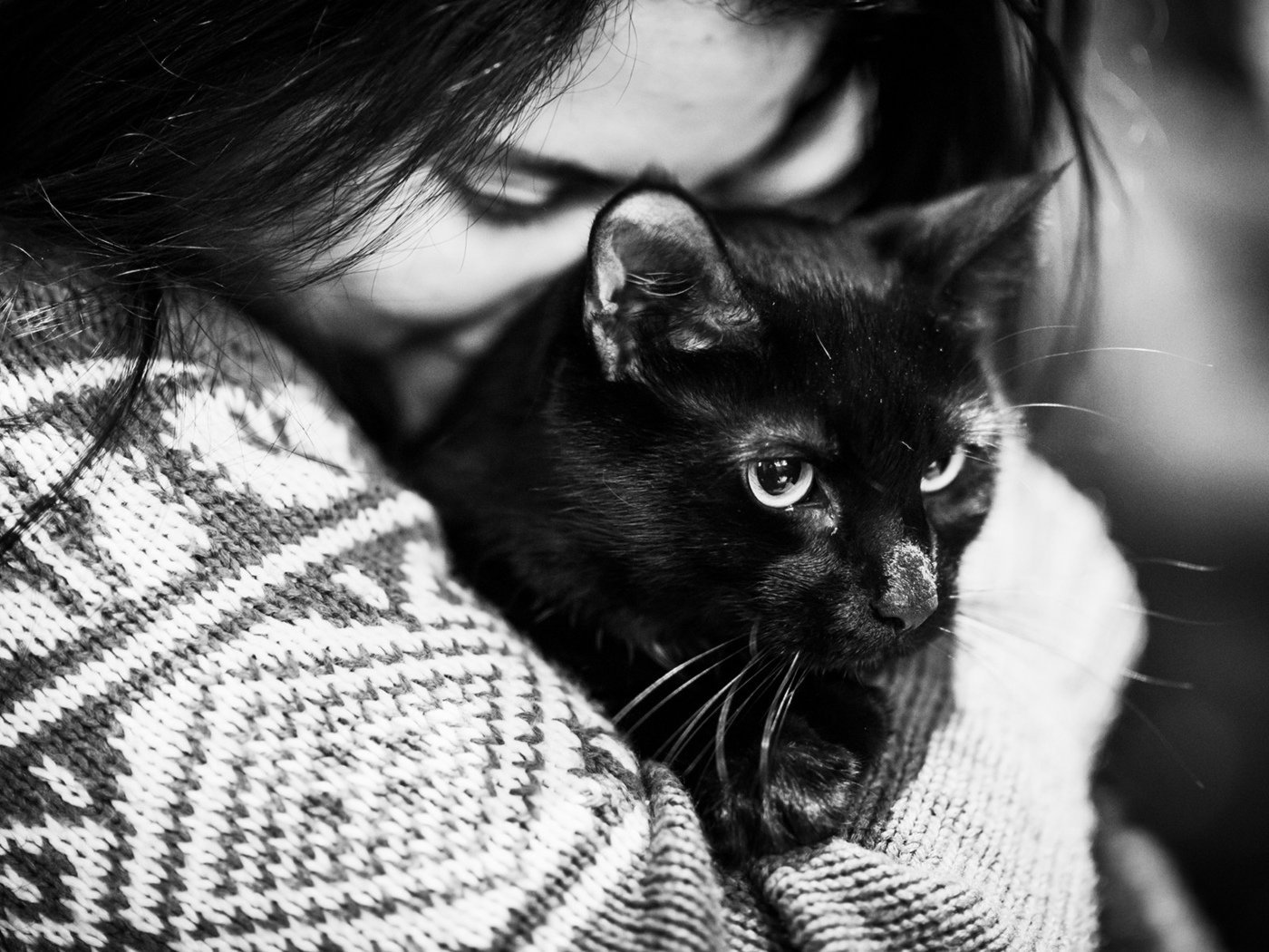 Картинка девушка с кошкой. Девушка с котом. Девушка с черным котом. Брюнетка с черным котом. Брюнетка с котенком.