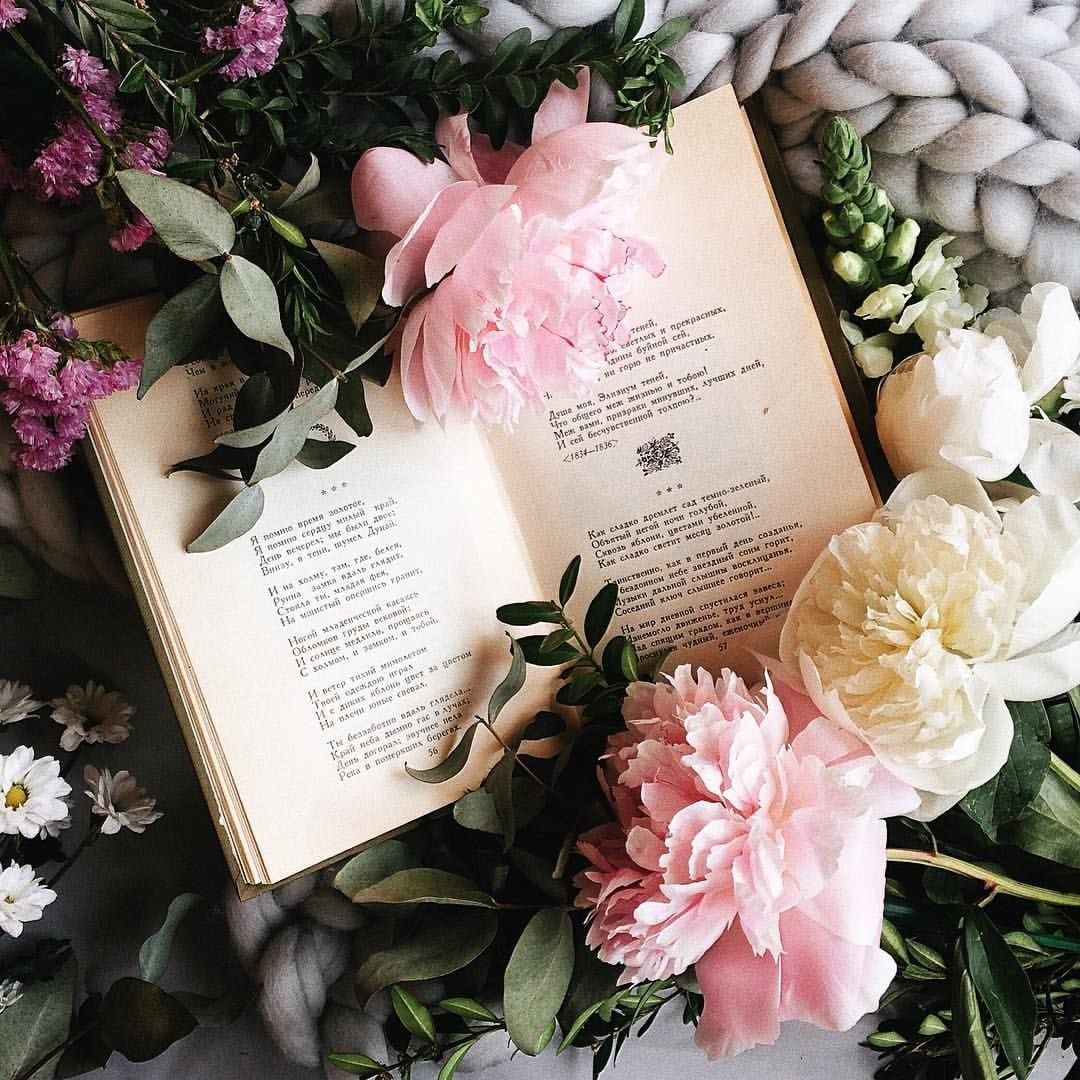 Красивые книги