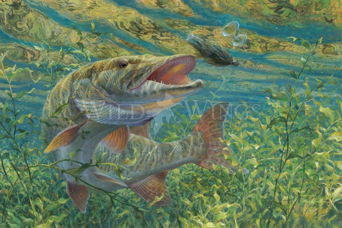 Щука картина