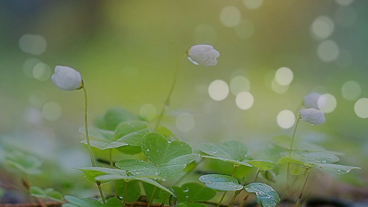 Мантры релакс успокаивающая