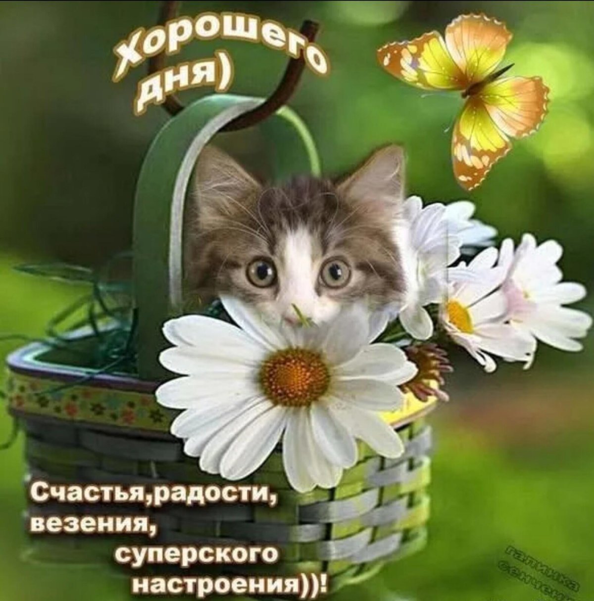 Прекрасного дня и отличного настроения