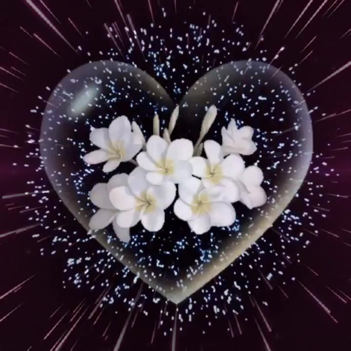 Красивые букеты с пожеланиями спокойной ночи