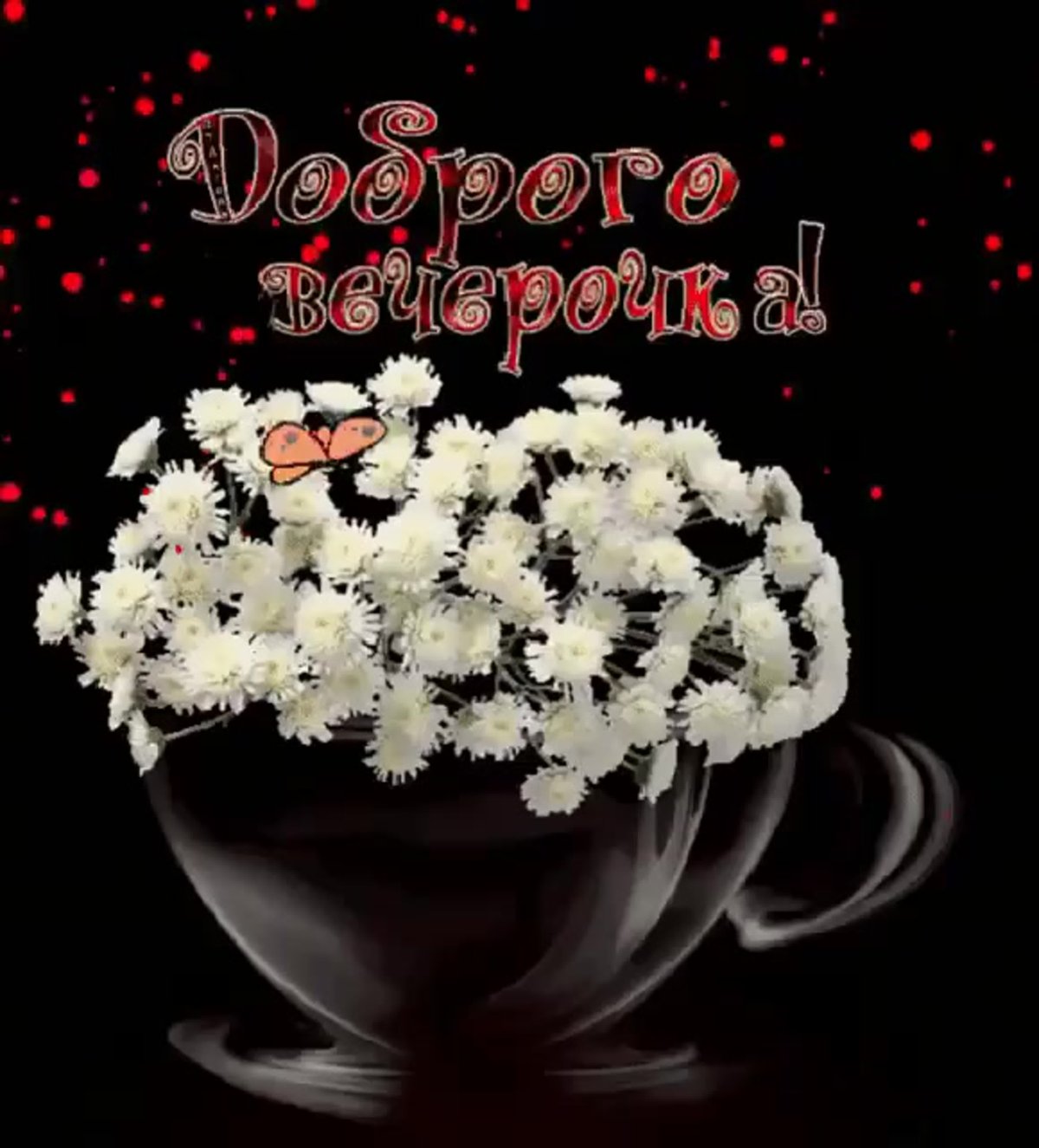 Добрый вечер хризантемы