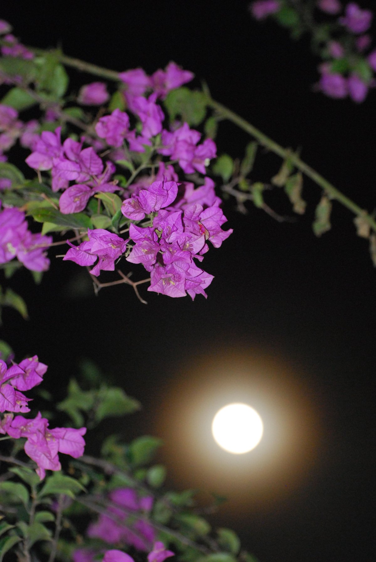 Спокойной ночи вечнние