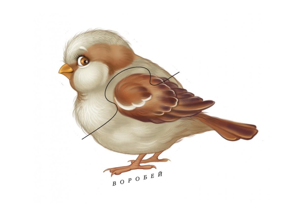 Иллюстрация птицы для детей