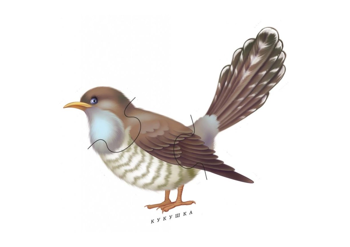 Птицы для малышей