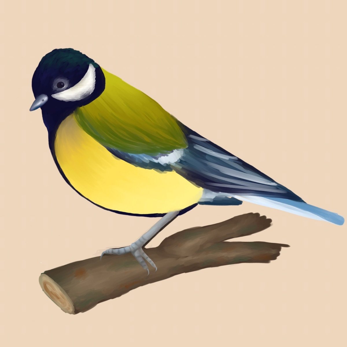 Синички для вырезания