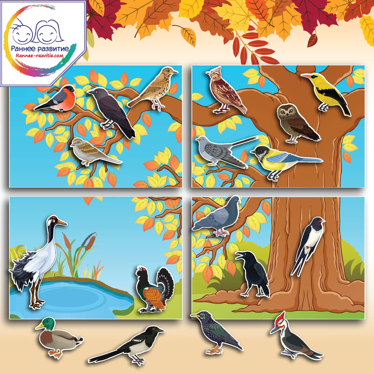 Дидактическая игра перелетные птицы