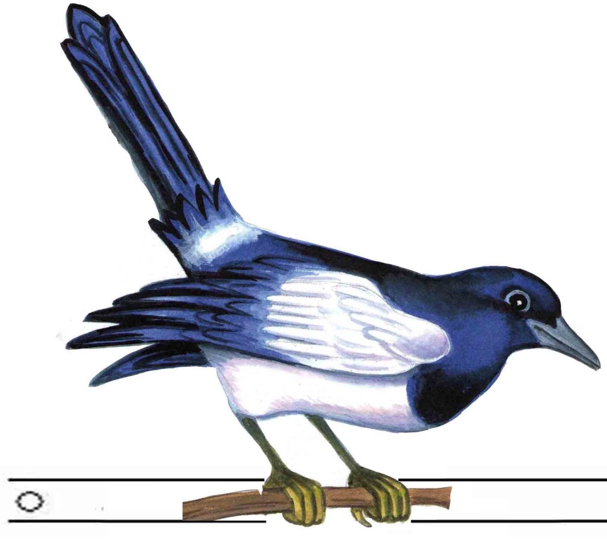 Маска сороки для детей