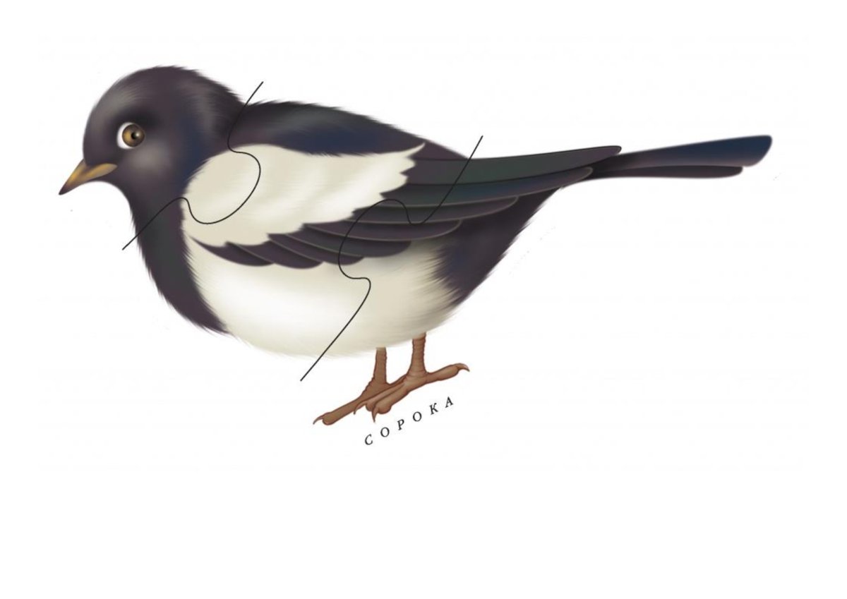 Зимующие птицы пазлы для детей